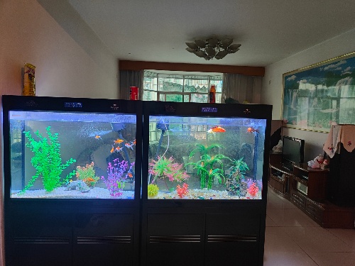 绵阳 绵阳二手房