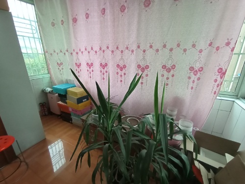 绵阳 绵阳二手房