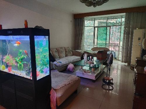 绵阳 绵阳二手房