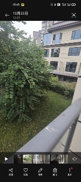 绵阳 绵阳二手房
