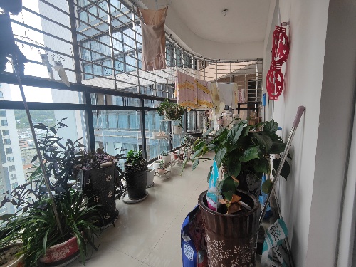 绵阳 绵阳二手房