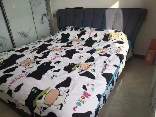 绵阳 绵阳租房