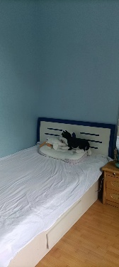 绵阳 绵阳二手房