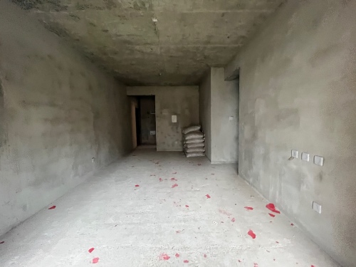 绵阳 绵阳二手房