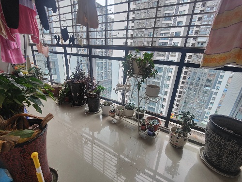 绵阳 绵阳二手房