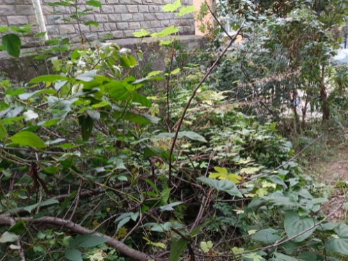 绵阳 绵阳二手房