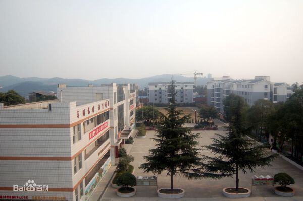 五里路小学