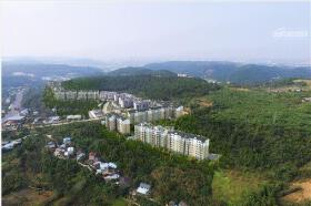 阅翠府已交房8栋，参考均价5000元/m²