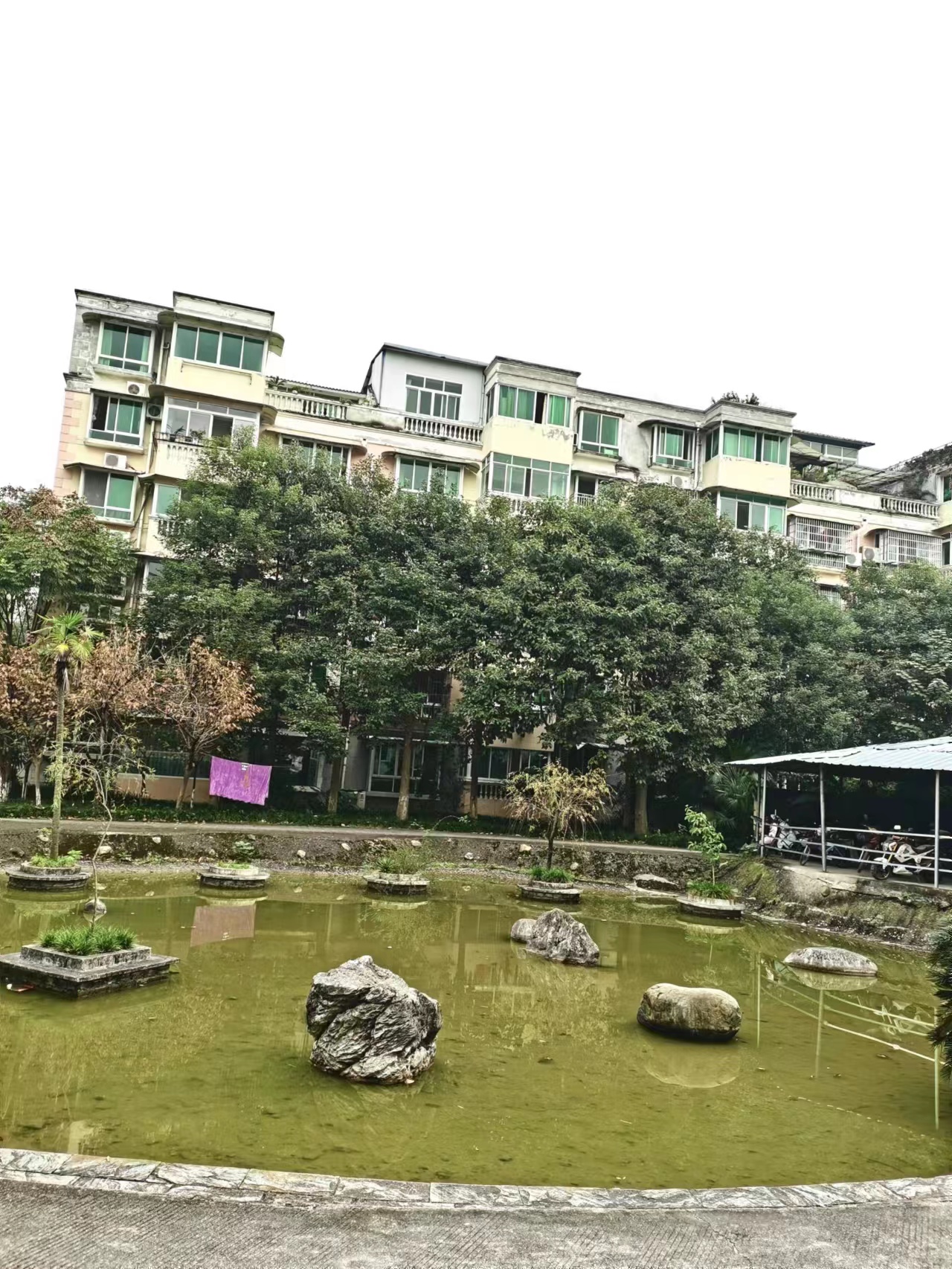 绵阳 绵阳二手房
