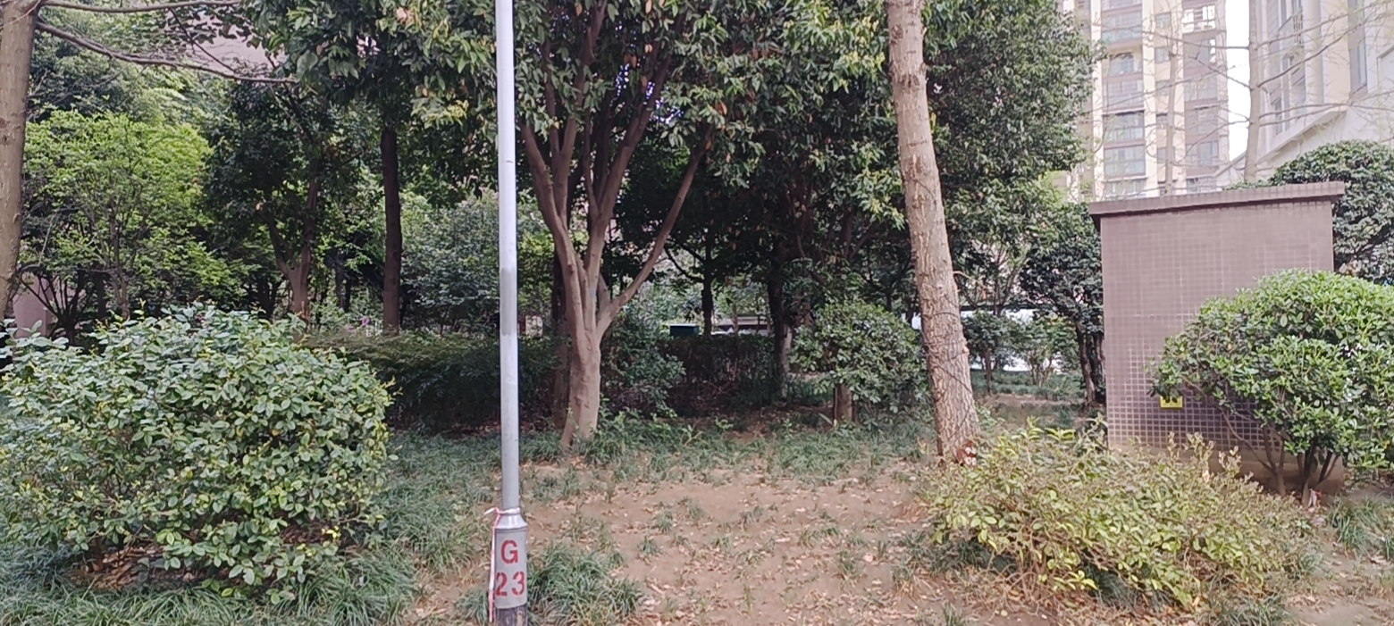 绵阳高新区 中沅广场2房1700元/月 绵阳租房