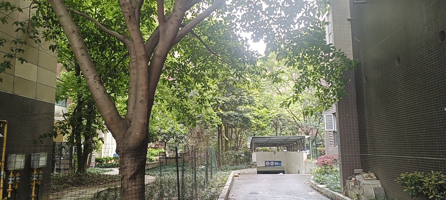 绵阳高新区 圣苑塞纳阳光2房68万 绵阳二手房