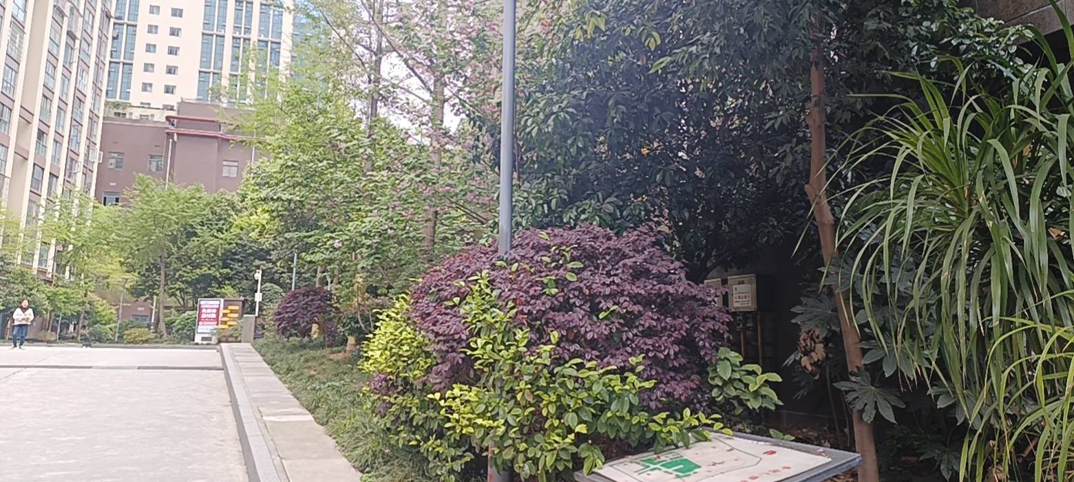 绵阳 绵阳二手房