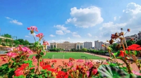 学区房对孩子教育的影响——怎么选房