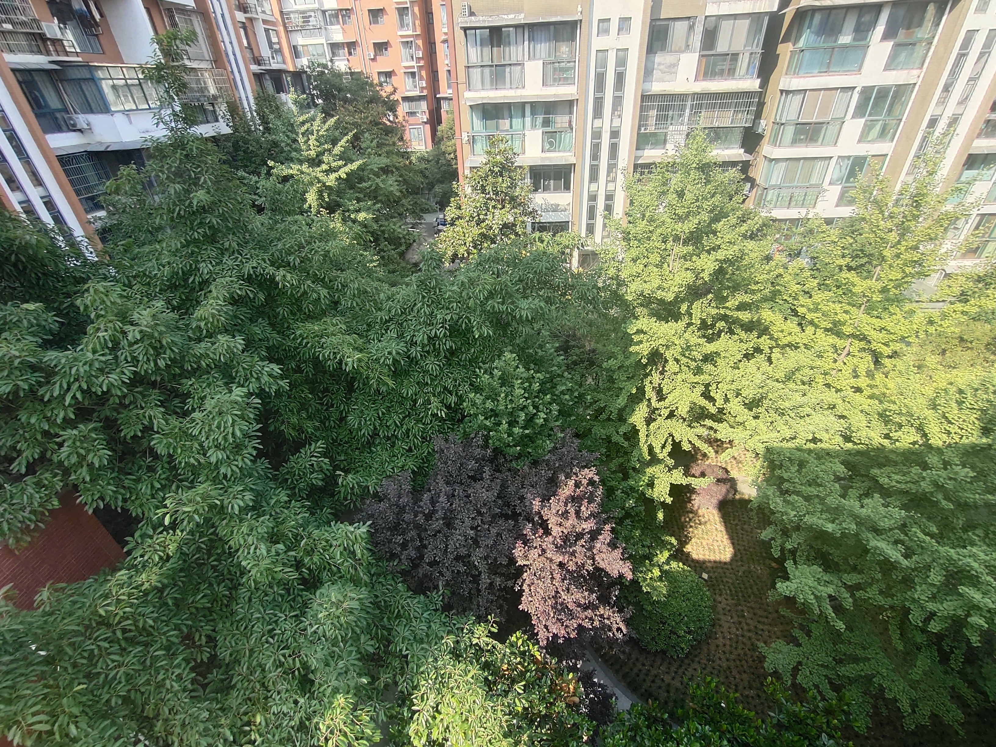 绵阳顶跃带露台花园 .视野开阔.任意装修布局 绵阳二手房