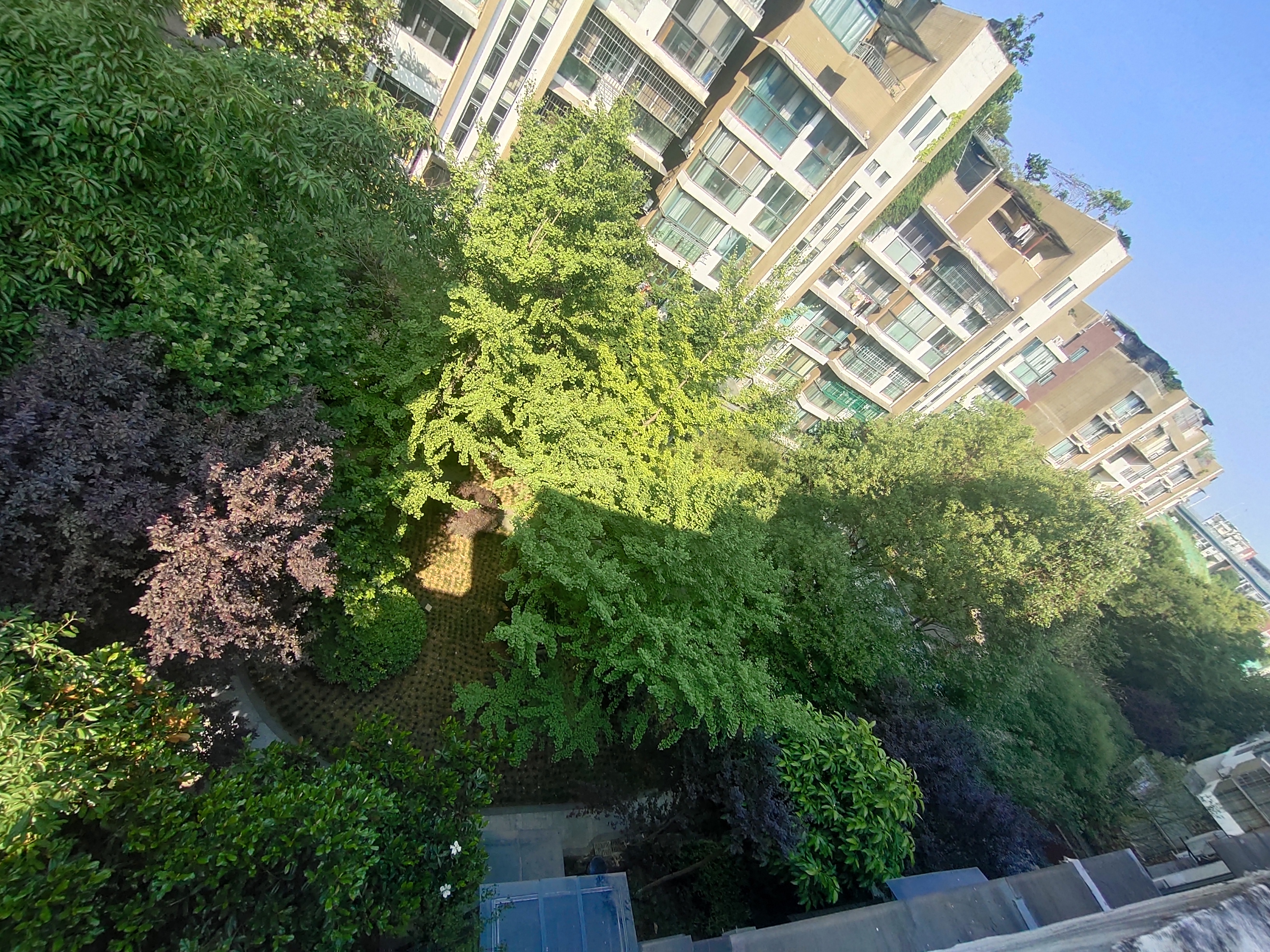 绵阳顶跃带露台花园 .视野开阔.任意装修布局 绵阳二手房
