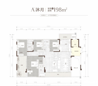 A沐月
