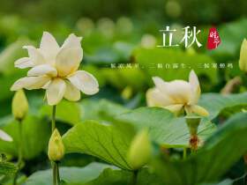 今日立秋｜秋天的第一个节气