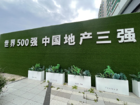 大型房企再现危机，其在绵阳开发过多盘，目前还有未交付项目