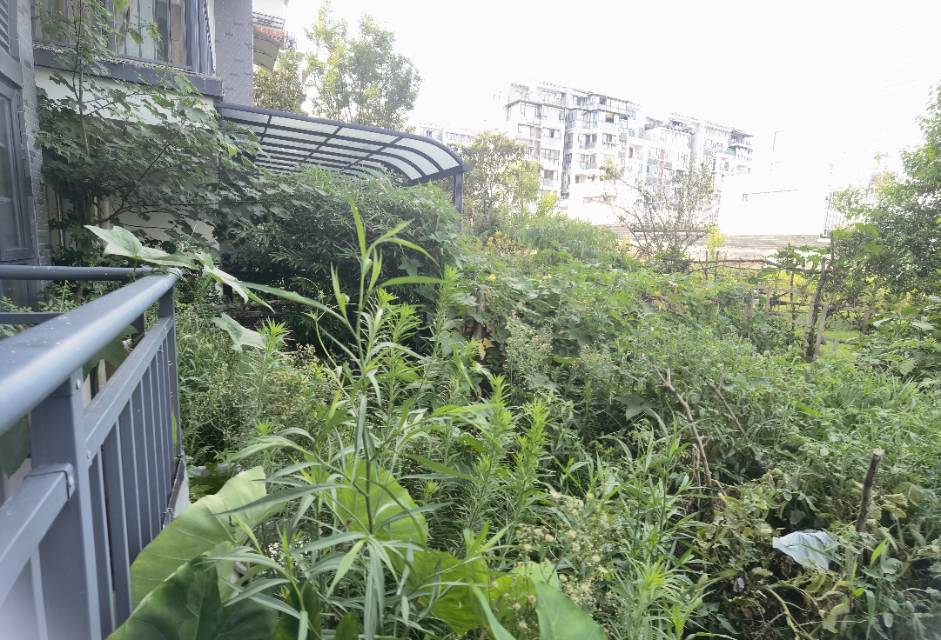 绵阳南山一号二期御珑藏，2室2厅1卫，76.00㎡，租金1500.00元/月 绵阳租房