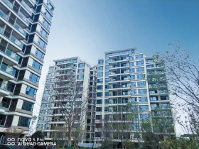 领地城修建进度更新啦！