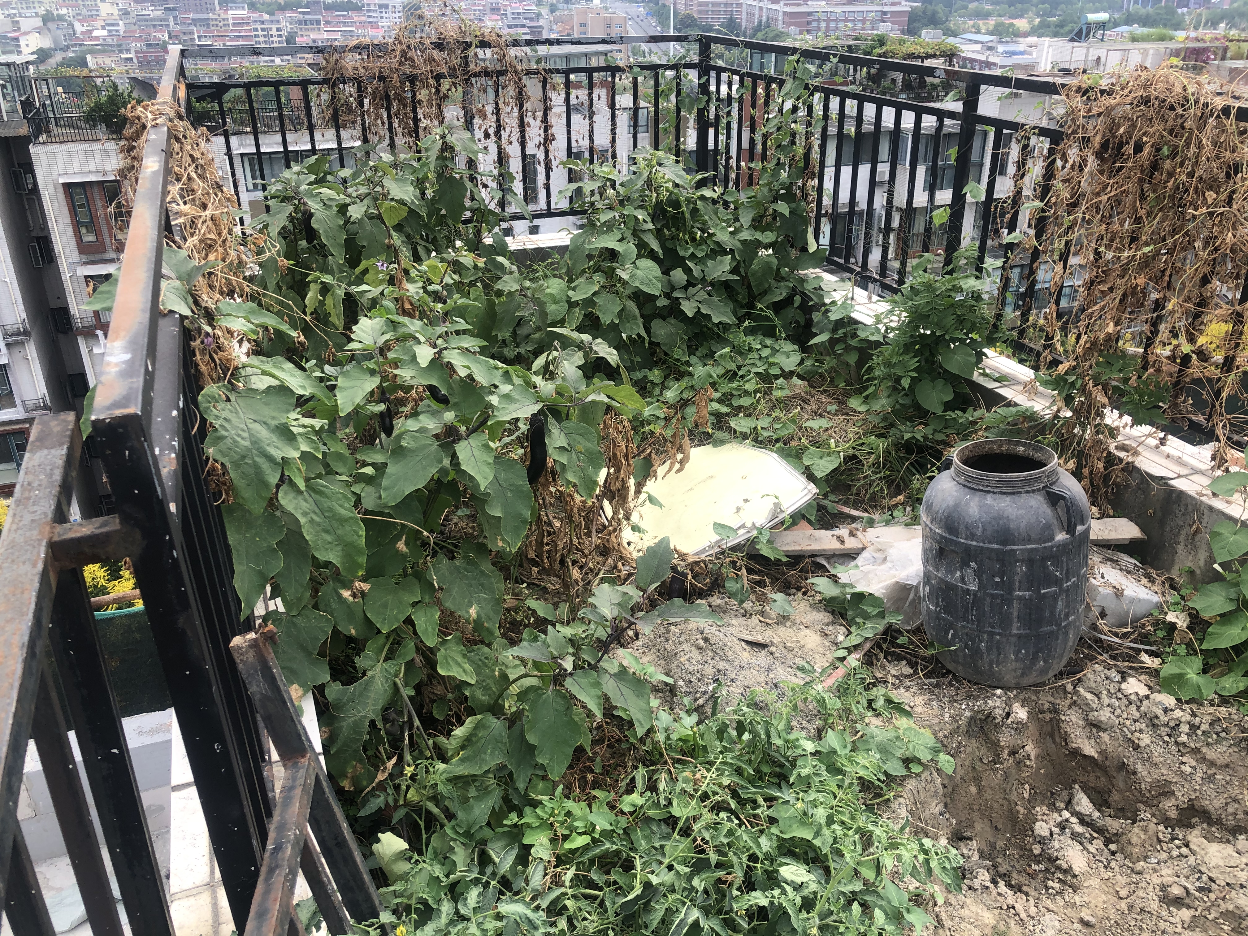 绵阳辰兴优山美郡，5室3厅4卫，136㎡，毛坯，售价178万 绵阳二手房