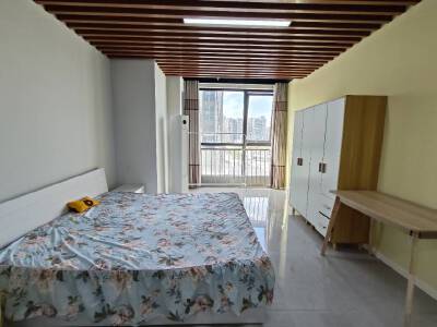 万达SOHO，1室1厅1卫，54.00㎡，精装，租金1000.00元/月