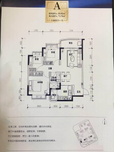 A户型