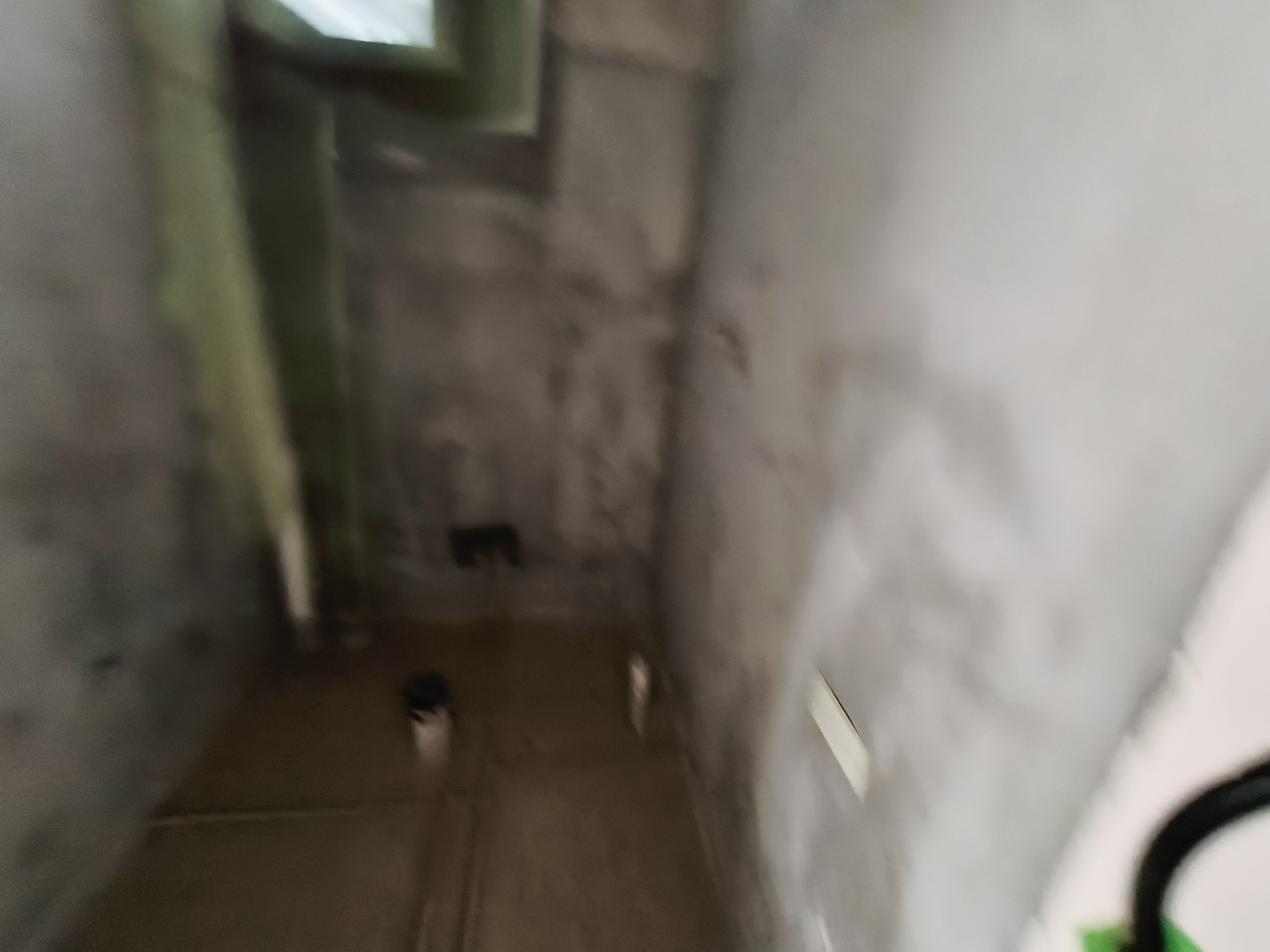 绵阳 绵阳二手房
