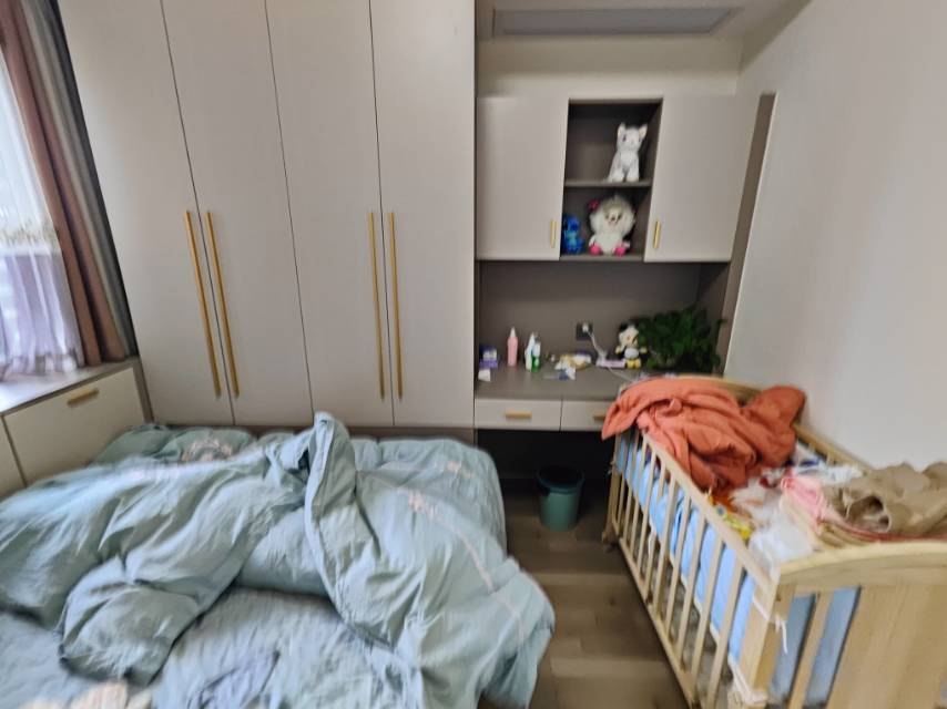 绵阳 绵阳二手房