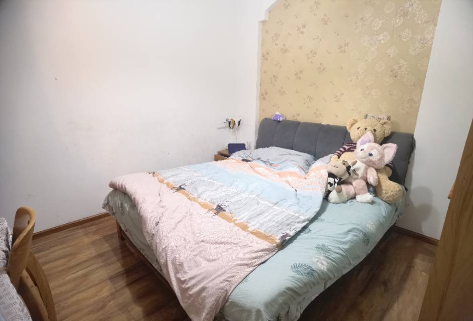 绵阳 绵阳二手房