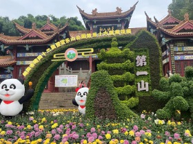 一年一度 绵阳富乐山第36届菊花展你去了吗？