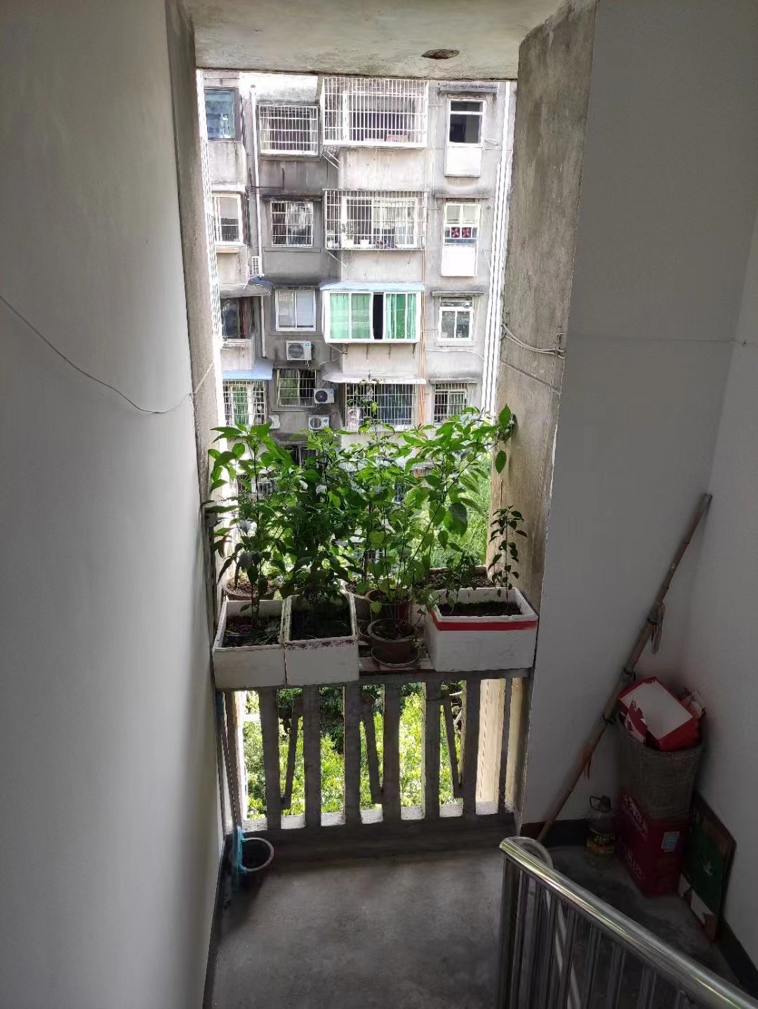 绵阳永安小区，1室1厅1卫，50㎡，undefined，售价30万 绵阳二手房