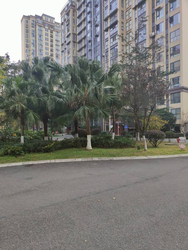 绵阳稀缺顶跃  带露台  你确定不了解下   绵阳二手房