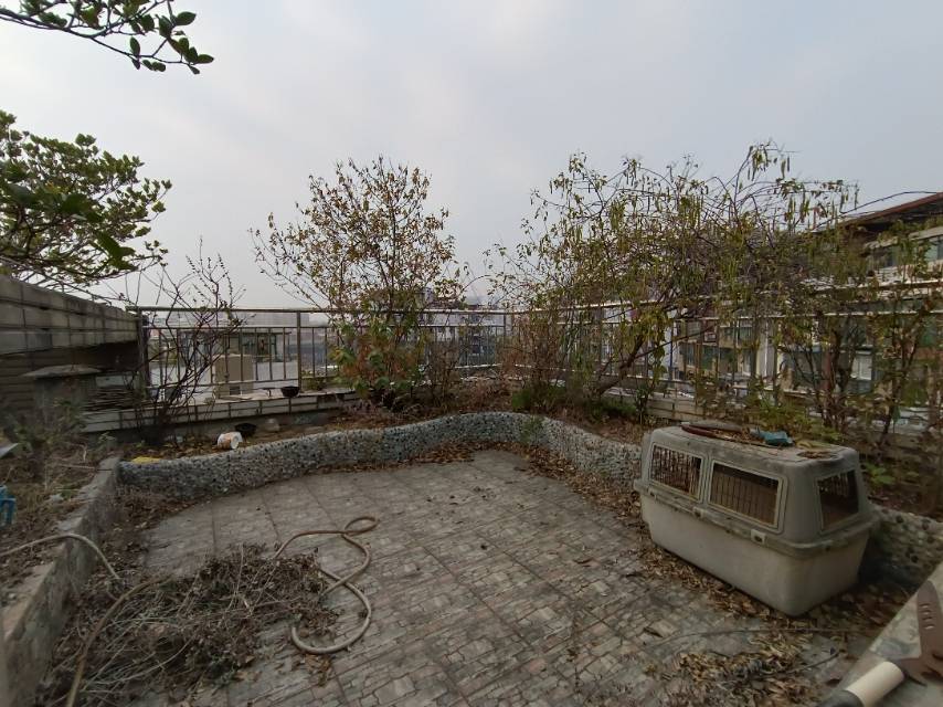 绵阳电梯洋房.精装三联跃.带露台花园.直接入住.房子保护很新. 绵阳二手房