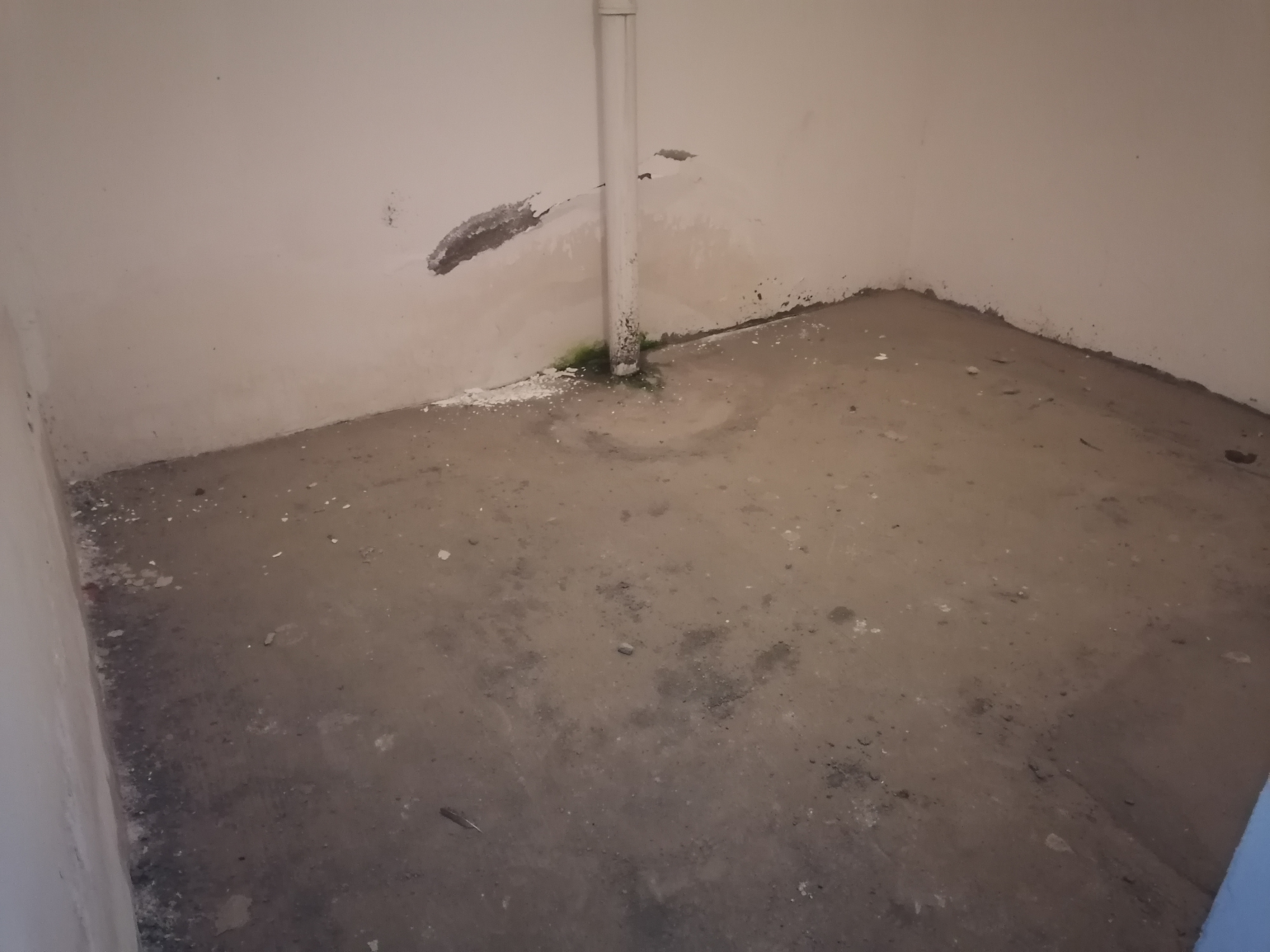 绵阳 绵阳二手房