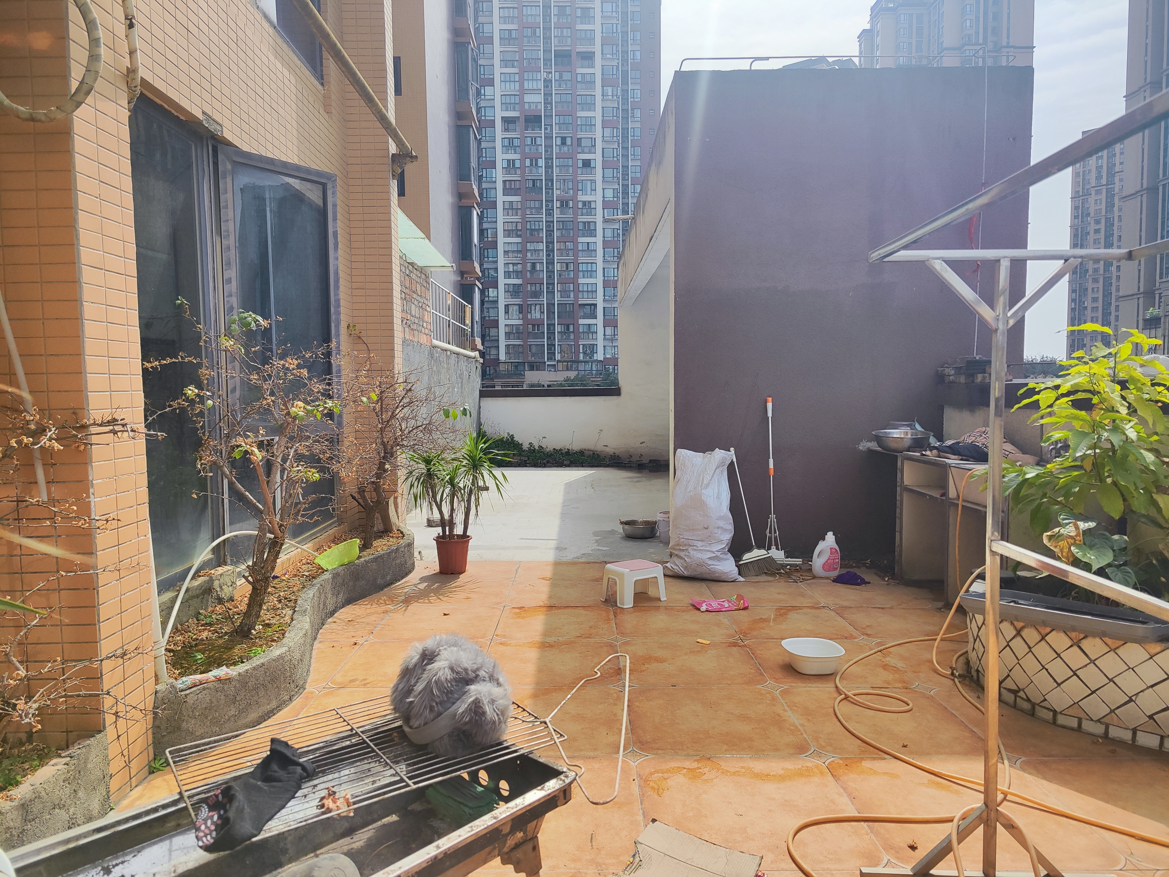 绵阳东辰附近.带露台花园.精装大两室可改3房.朝南 绵阳二手房