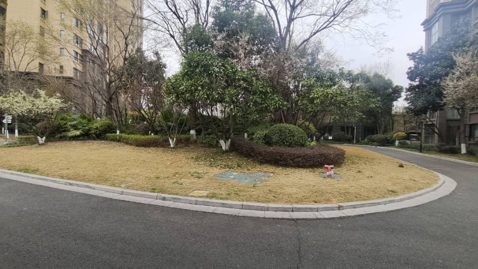 绵阳小岛英才学校旁 东原长洲两室出租 绵阳租房