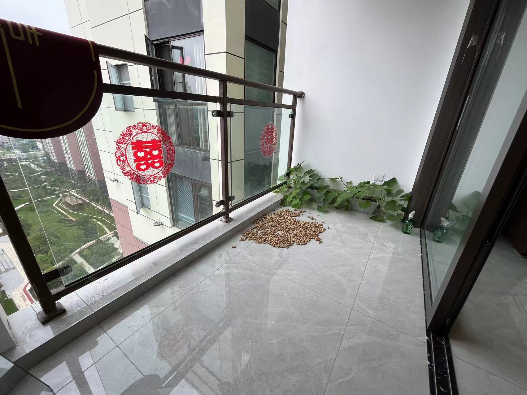 绵阳 绵阳二手房