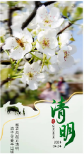 今日清明 | 扫墓祭祖，缅怀先烈！