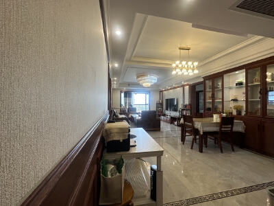 桑林坝片区 东原观天下（二期）四房194万
