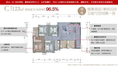 C户型