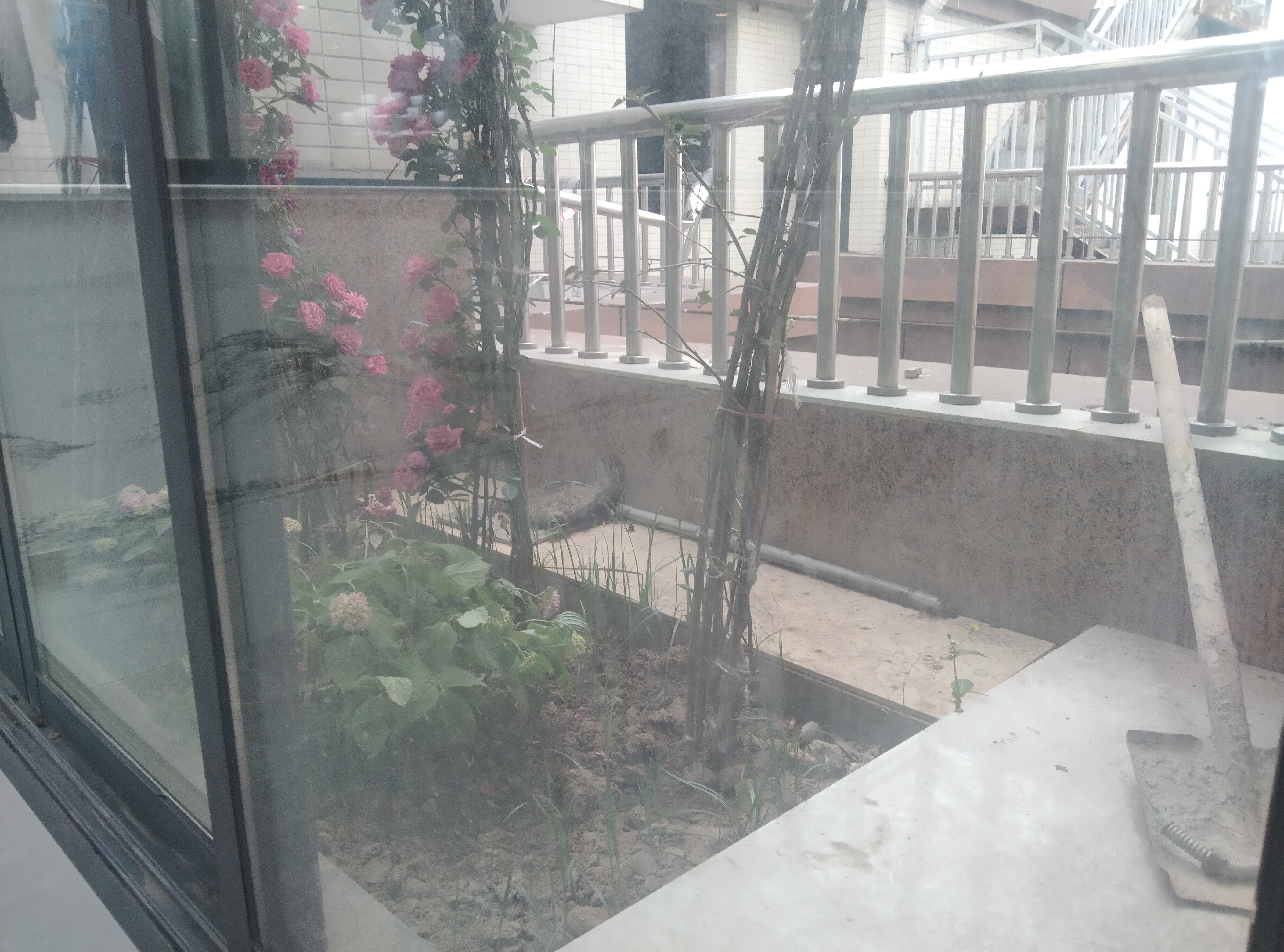 绵阳人工湖旁.20年新小区.顶跃带露台花园.精装5室.清水的价格 绵阳二手房