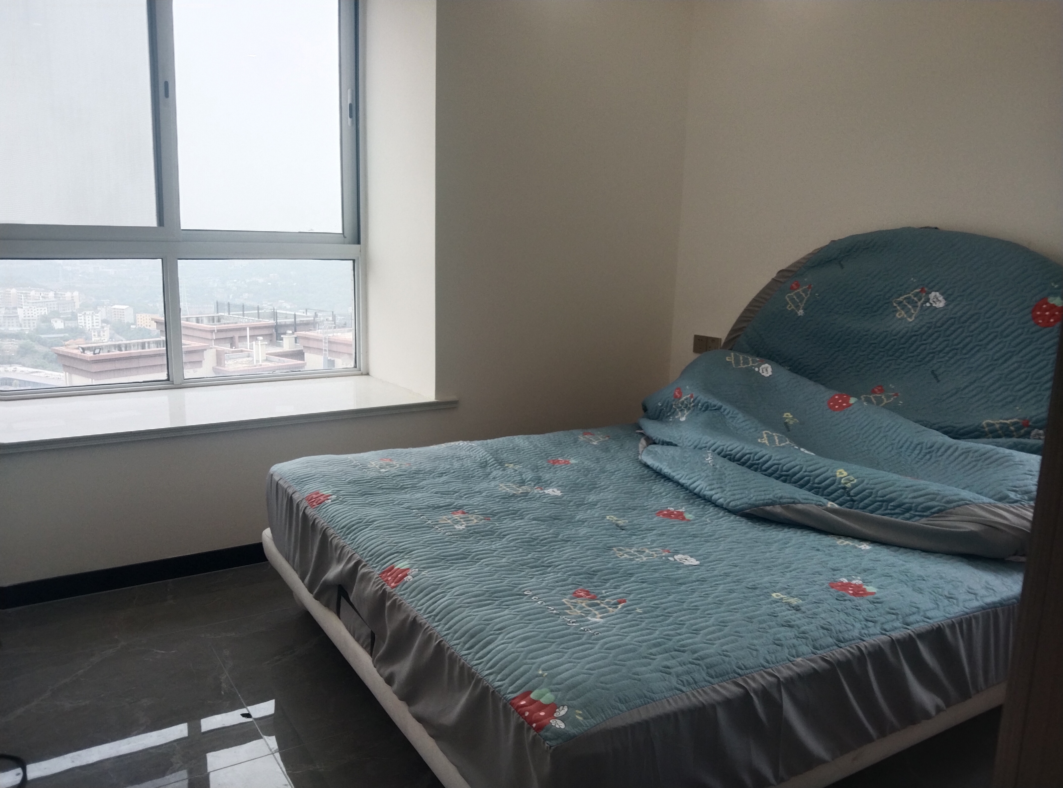 绵阳人工湖旁.20年新小区.顶跃带露台花园.精装5室.清水的价格 绵阳二手房