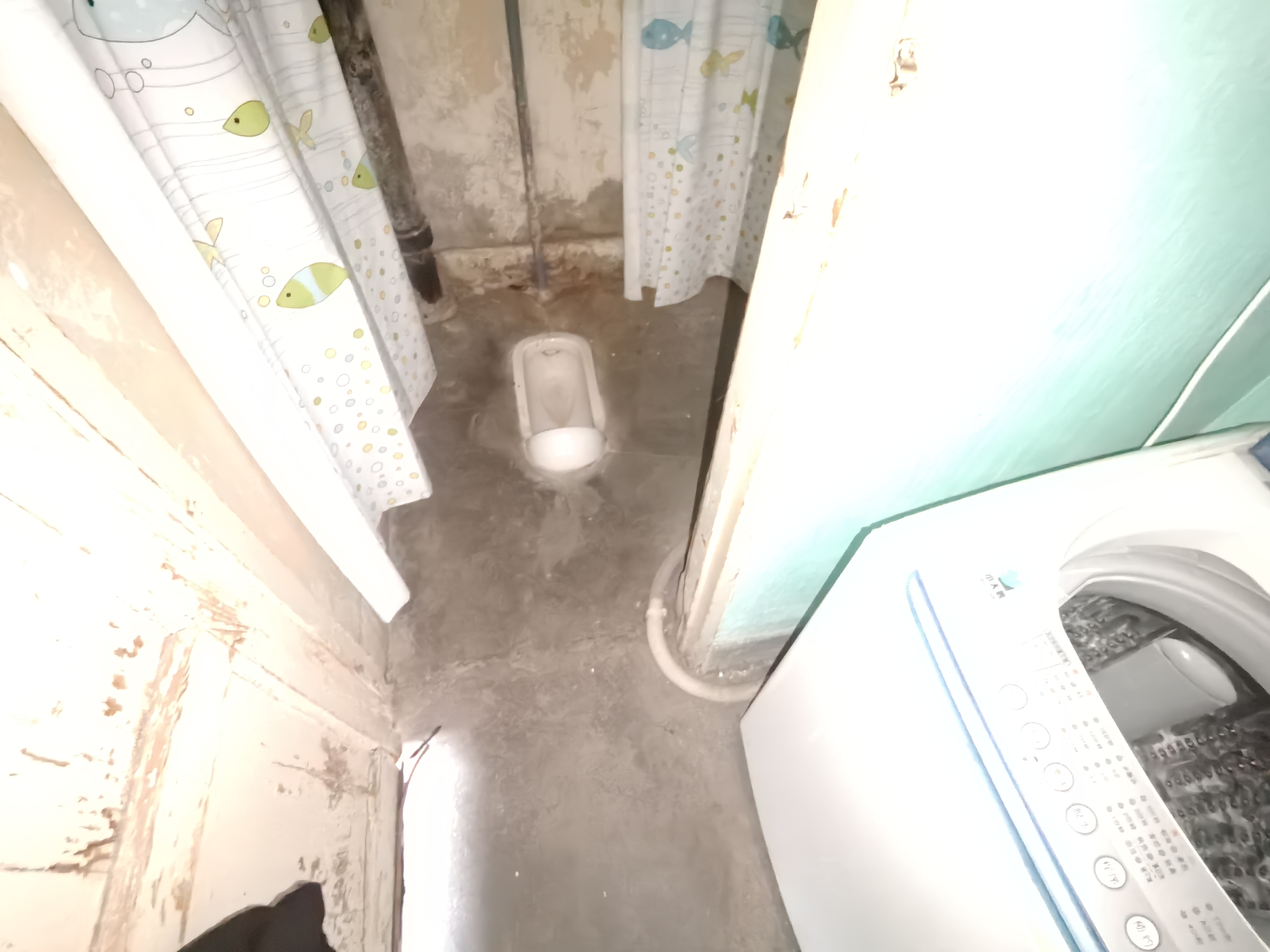 绵阳756家属区，2室1厅1卫，54.25㎡，普装，租金700.00元/月 绵阳租房