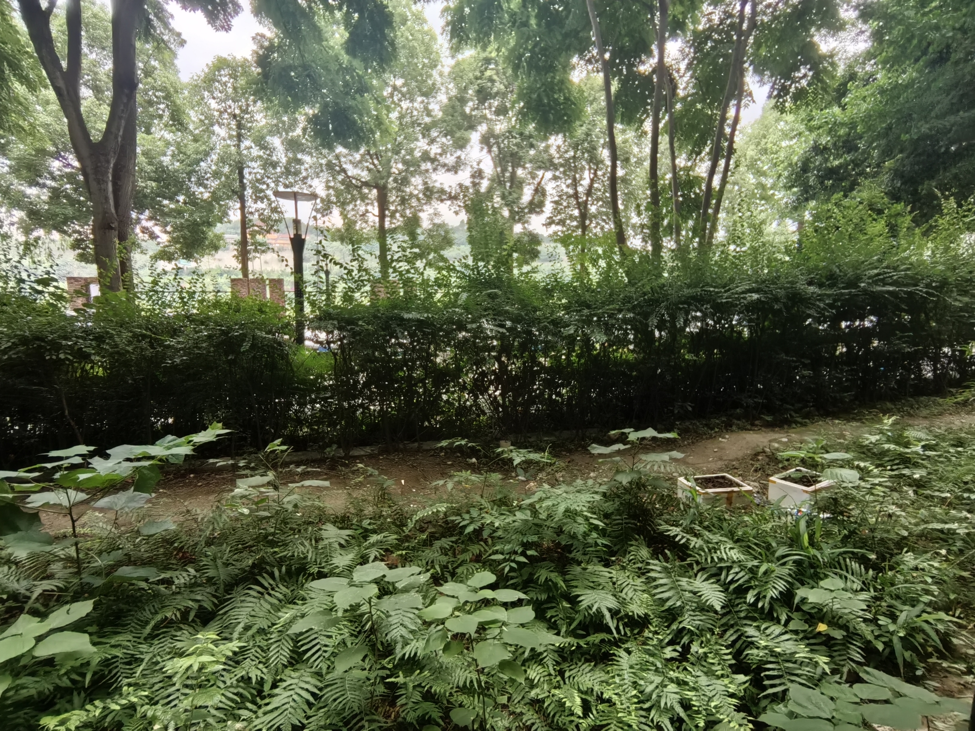 绵阳 绵阳二手房