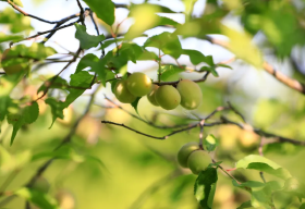 今日芒种！愿你“芒”有所获，“种”有所得