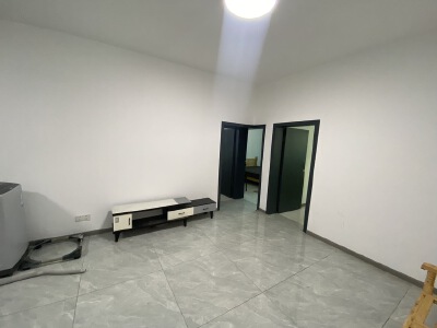 塘汛西路自建房，3室2厅1卫，90㎡，普装，租金700元/月
