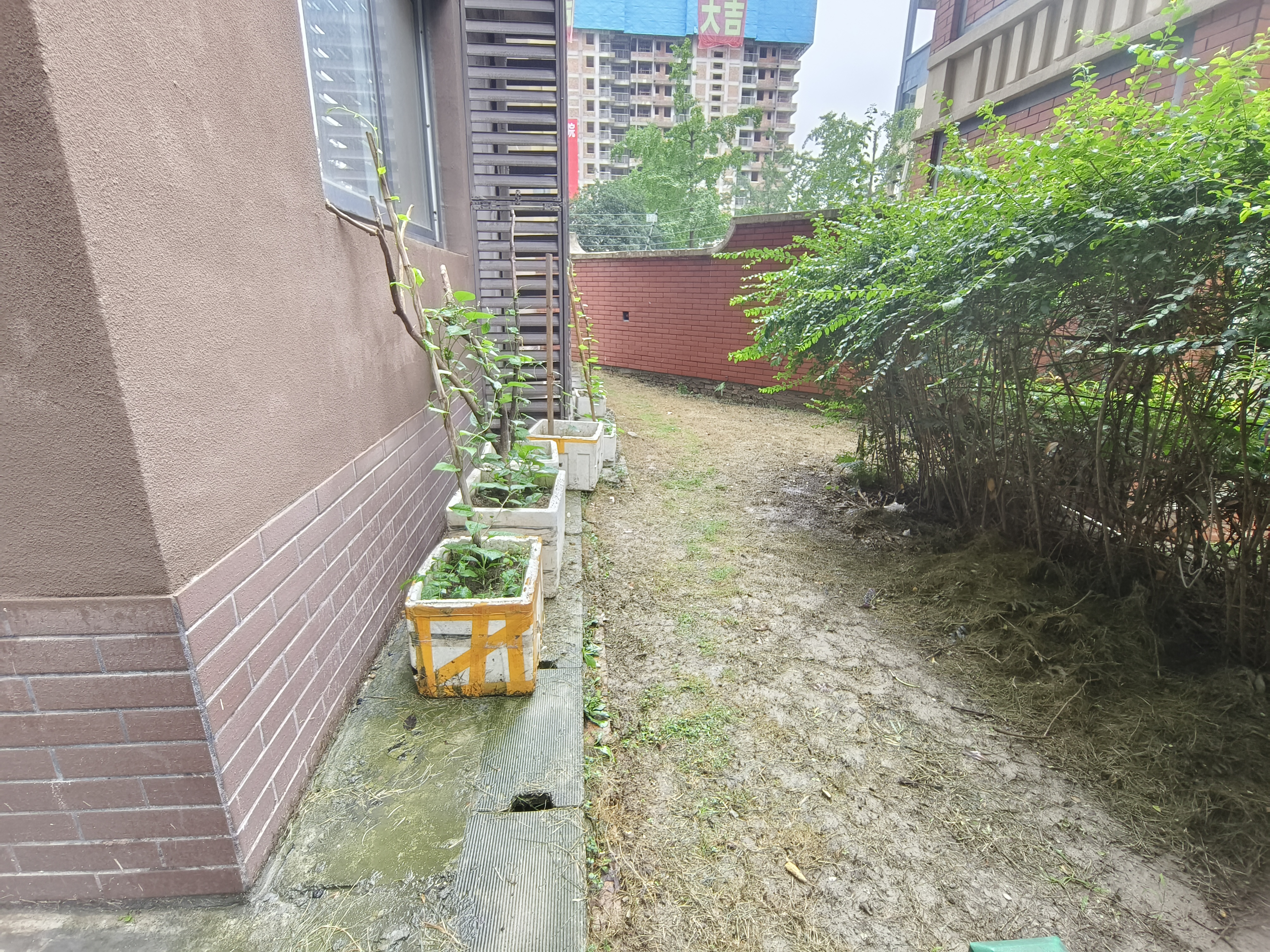 绵阳 绵阳二手房