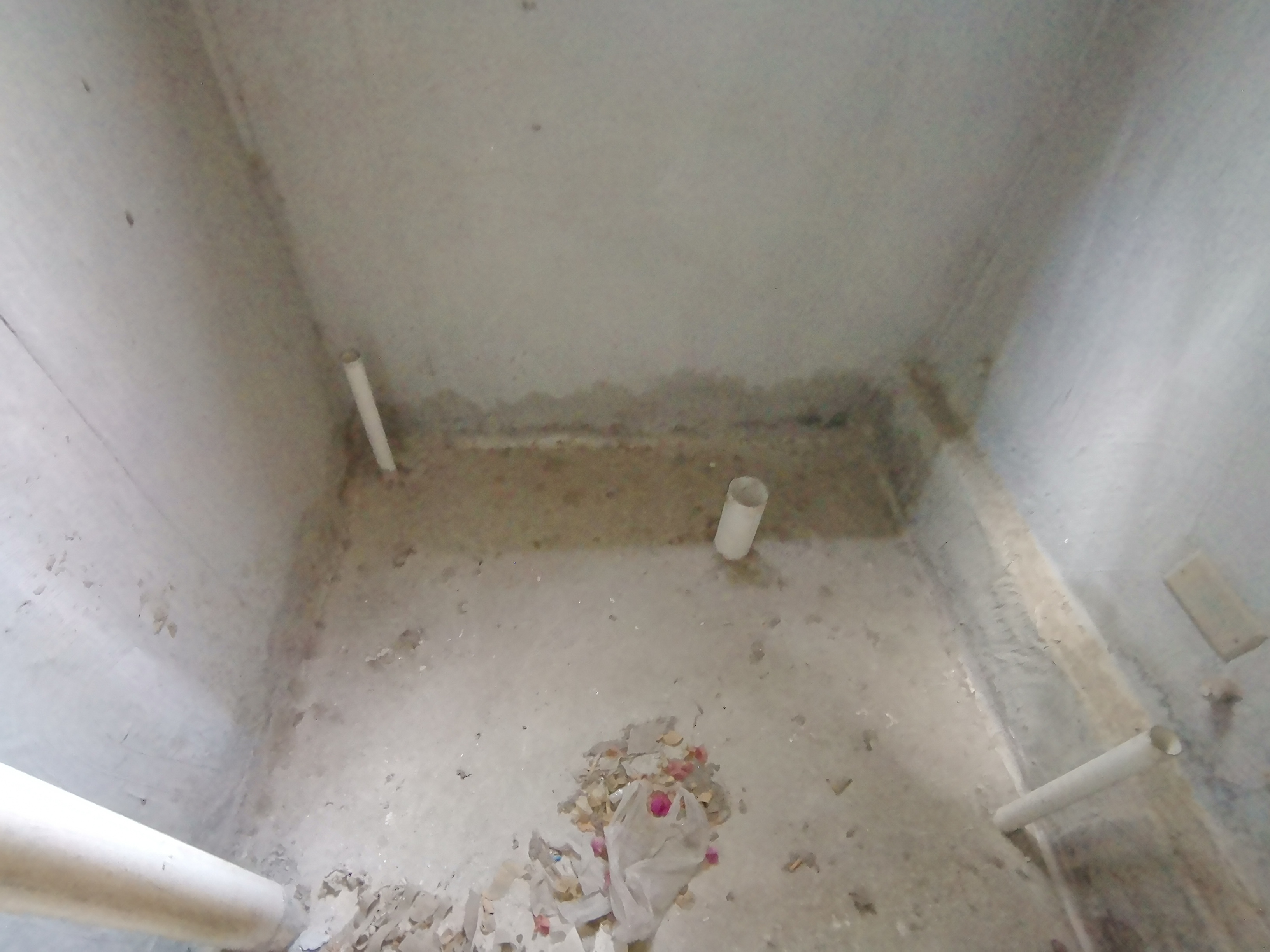 绵阳 绵阳二手房