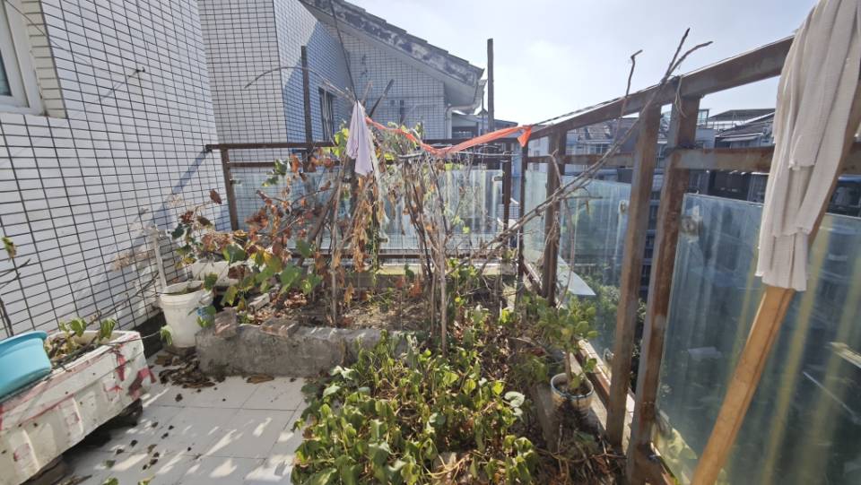 绵阳 绵阳二手房